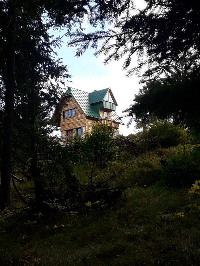 Mountain Story Apartment Zabljak  Exterior photo