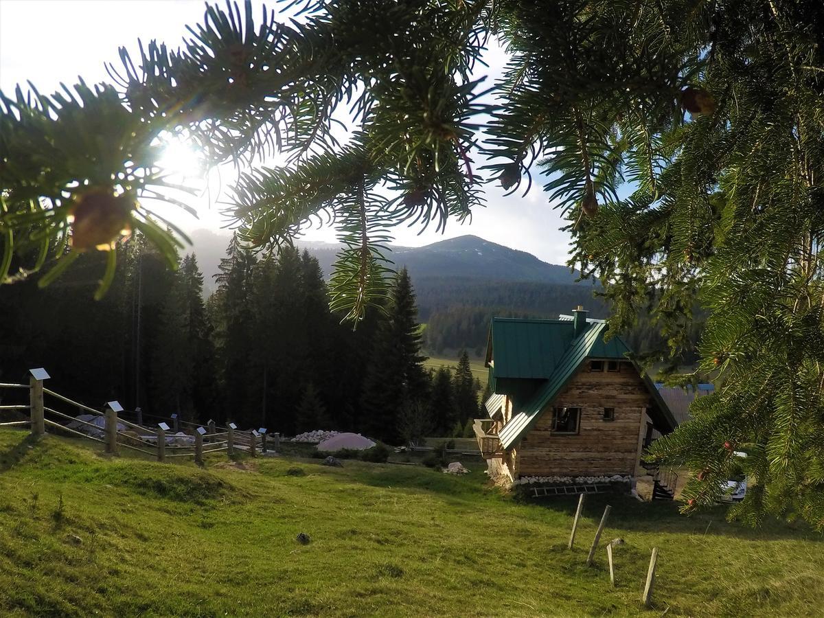 Mountain Story Apartment Zabljak  Exterior photo